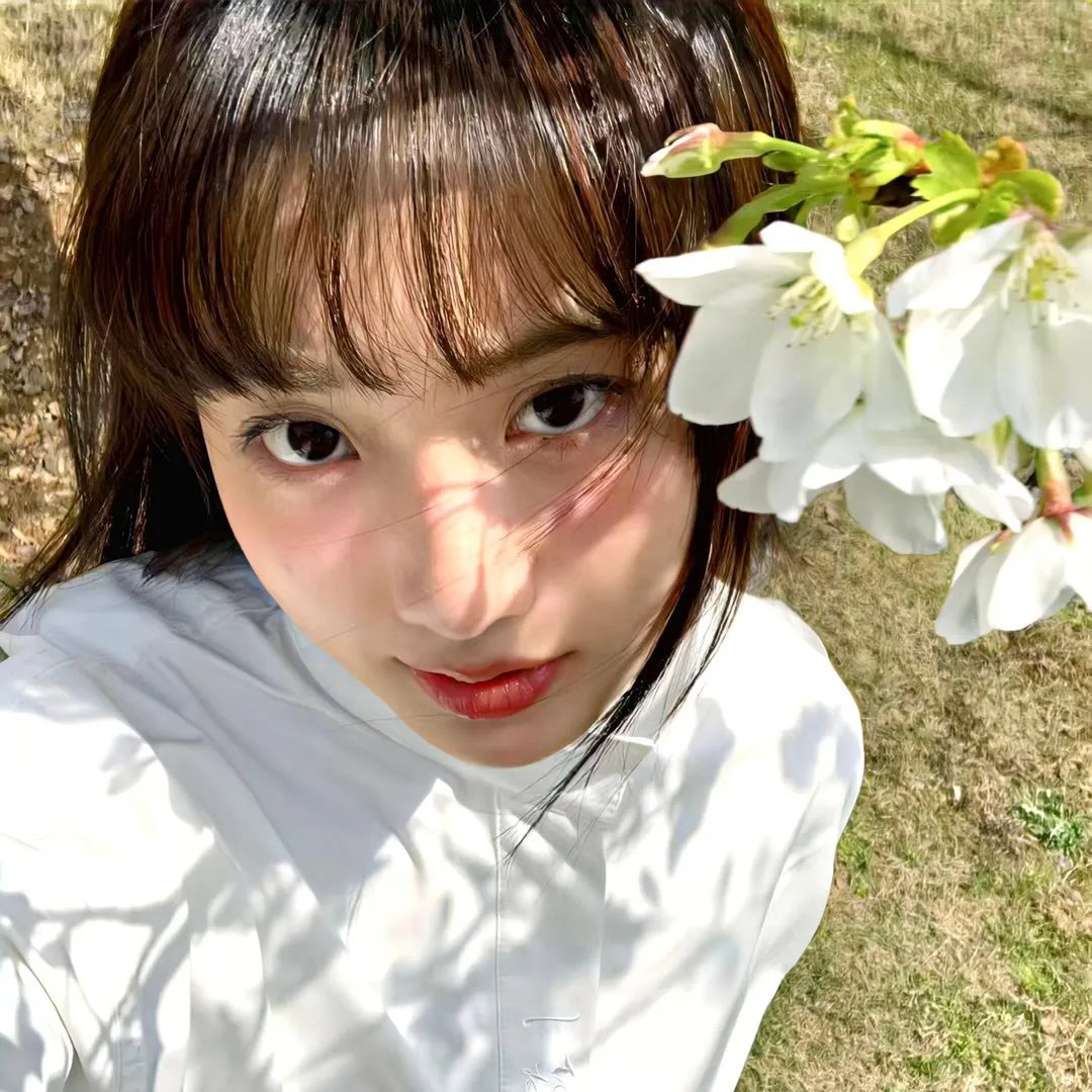 亚瑟与梅林:圣杯骑士